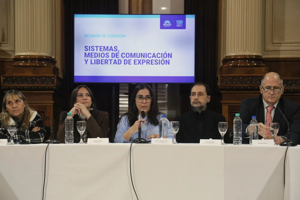 ESTATUTO PERIODISTA SENADO